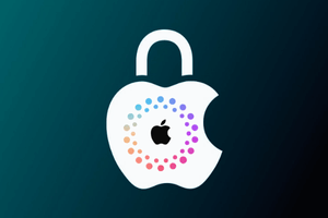 #218 Apple FULL INFO  Carrier/SimLock [IMEI/SN]