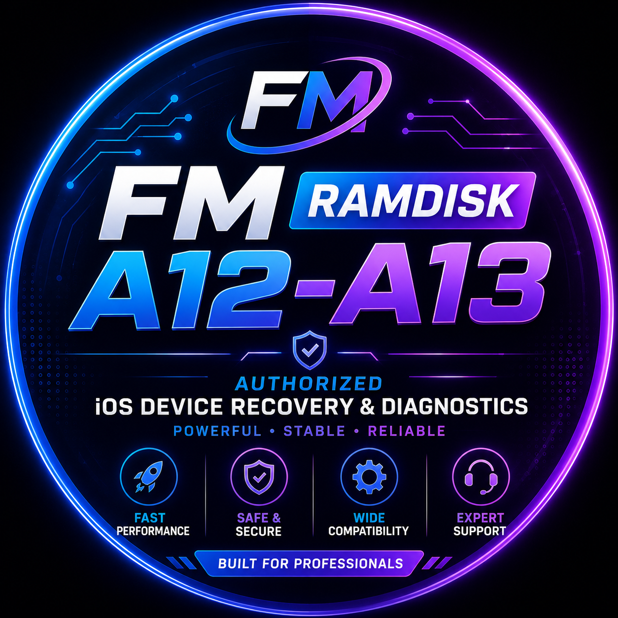 FM RAMDISK  A12-A13 BYPASS